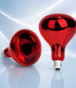 275 Watt Stand IRR Infrared Lamp Bulb for Physiotherapy Heat Therapy - Authentic eBangla